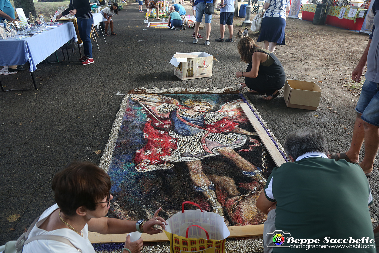 VBS_9553 - Infiorata di Villanova d'Asti 2023.jpg